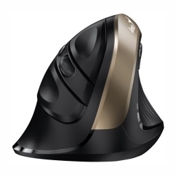 Mouse Genius Ergo inalmbrico dorado NNET