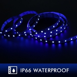 Cinta LED Unicom SMD5050 Azul 5 metros IP66 24 V