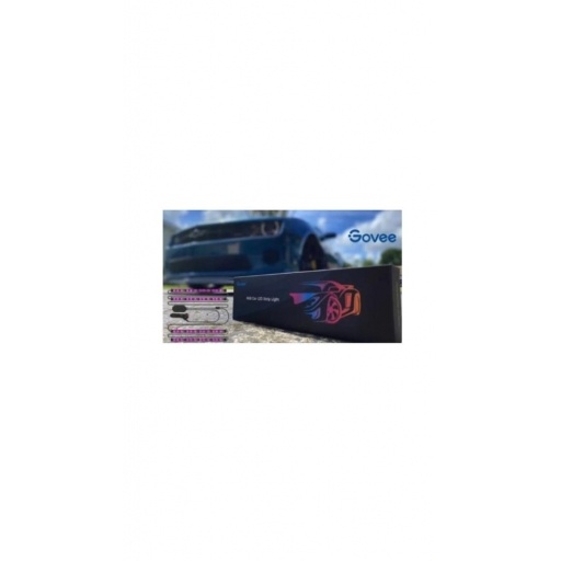 Luces LED Govee RGBIC Interior Car Light H6119