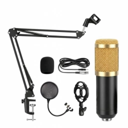 Kit de streaming con micr�fono condensador brazo y filtro antipop