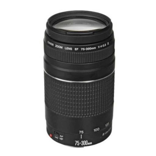 Lente Canon Ef-s 75-300mm F/5.6 0,25x