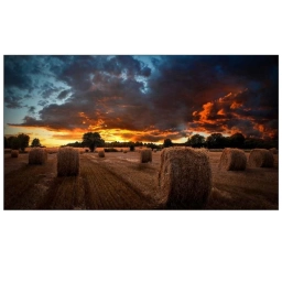 Pantalla Samsung VM55B-U 55 pulgadas Full HD Video Wall