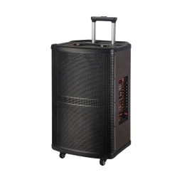 Parlante Amplificado Ledstar 12 pulgadas 65 W con Micr�fonos
