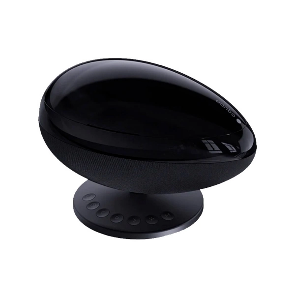 Color negro