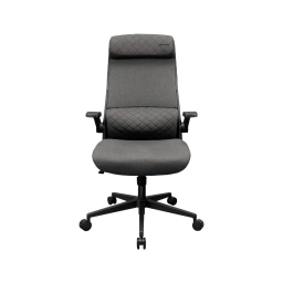 Silla Gamer Cougar Stryder Gray